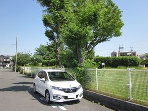 堺市北区百舌鳥梅町