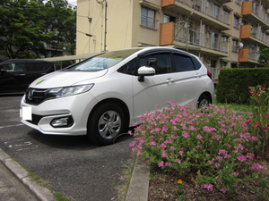 堺市北区新金岡町