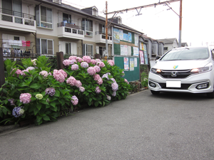 大阪市住吉区清水丘