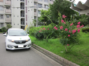 堺市北区新金岡町