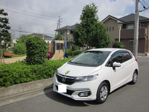 堺市東区北野田