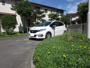 大阪府堺市西区八田寺町