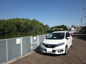 堺市北区百舌鳥本町 いたすけ古墳