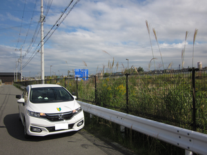 大阪府和泉市はつが野