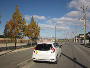 和泉市はつが野