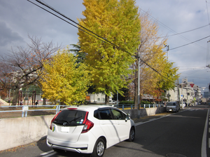 大阪市平野区平野東