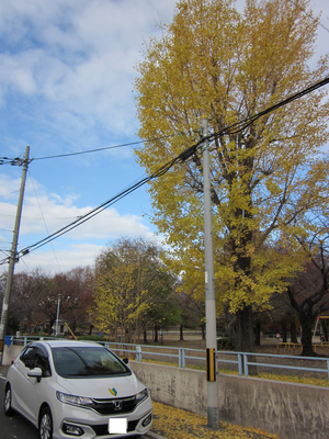 大阪市平野区平野東