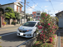堺市堺区浅香山町