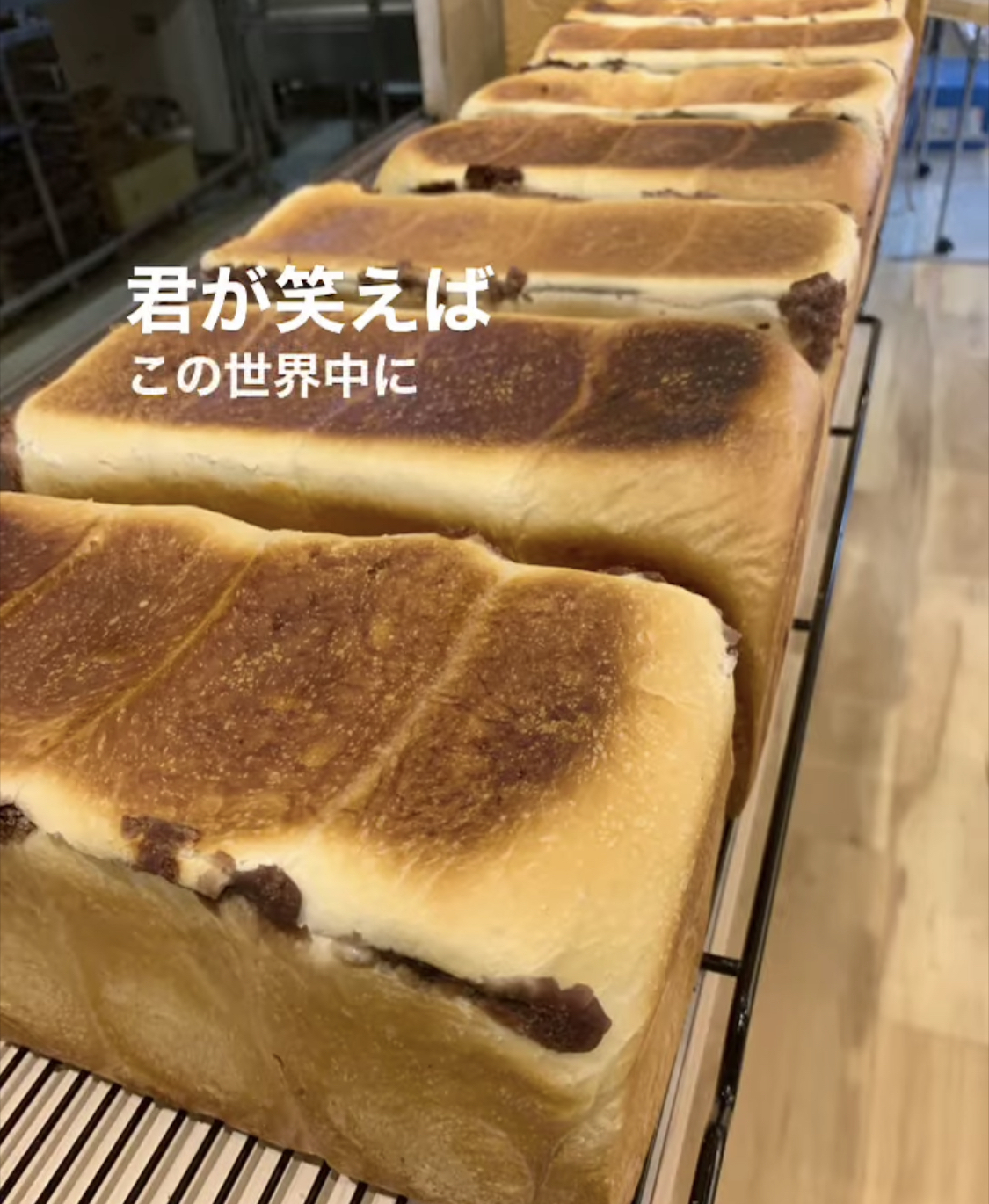 A378EF5F-A9E1-4C58-A7AD-5F987FFC256A