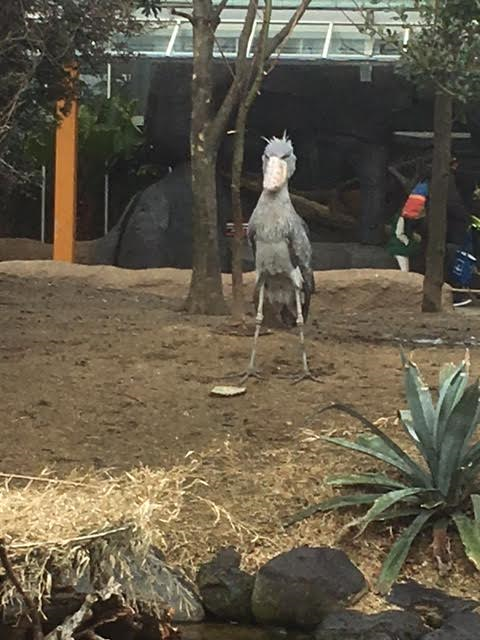 神戸動物王国