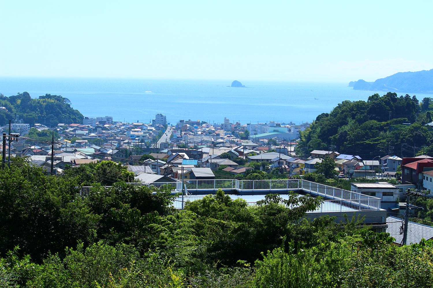 庭の風景写真