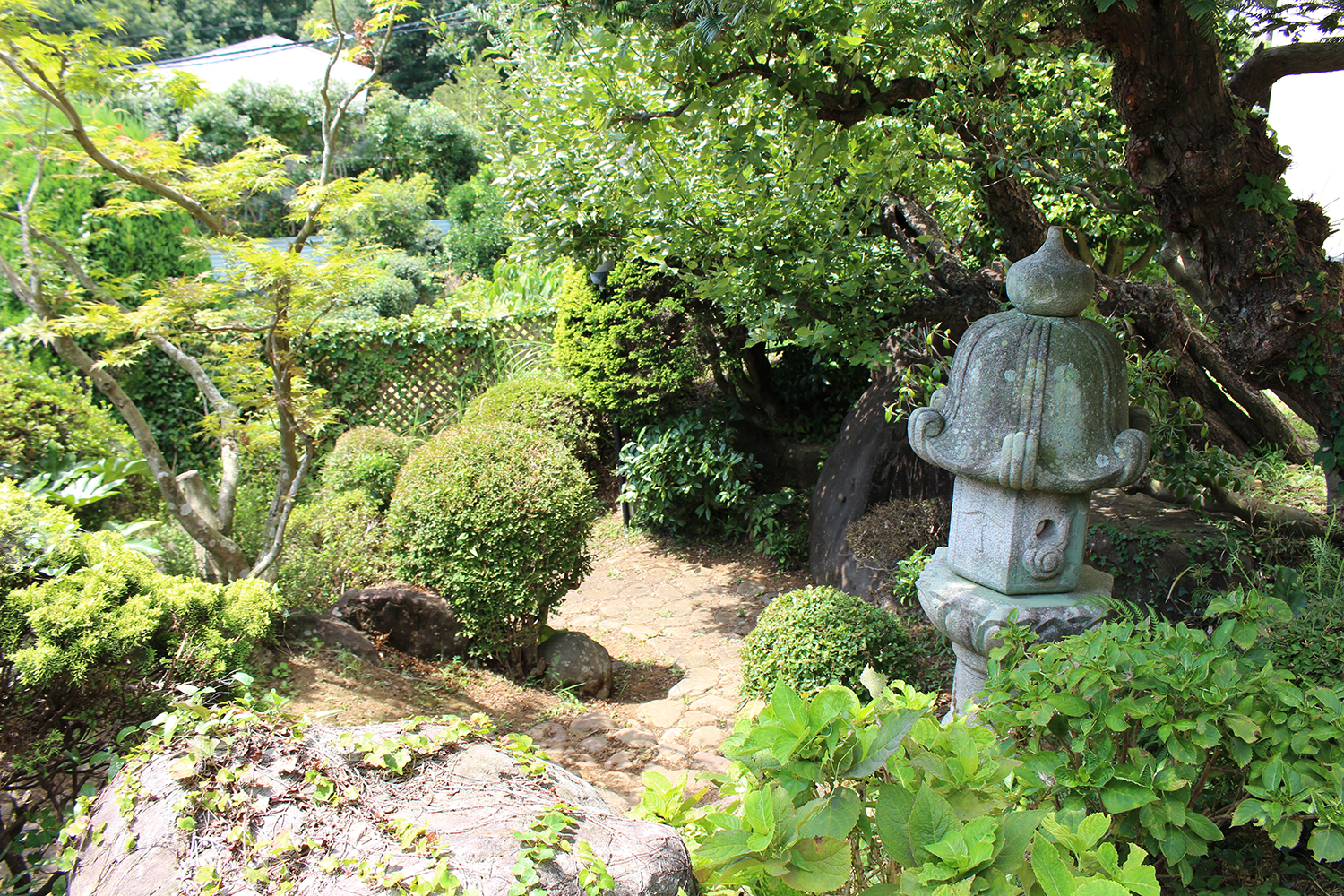 庭の風景写真