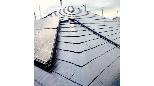 3DBA8DE4-905D-452E-979D-EFCCAC9162AE-L0-001SS