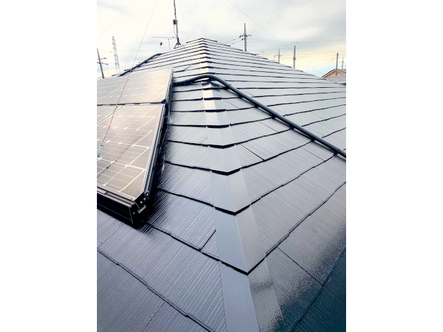 3DBA8DE4-905D-452E-979D-EFCCAC9162AE-L0-001S