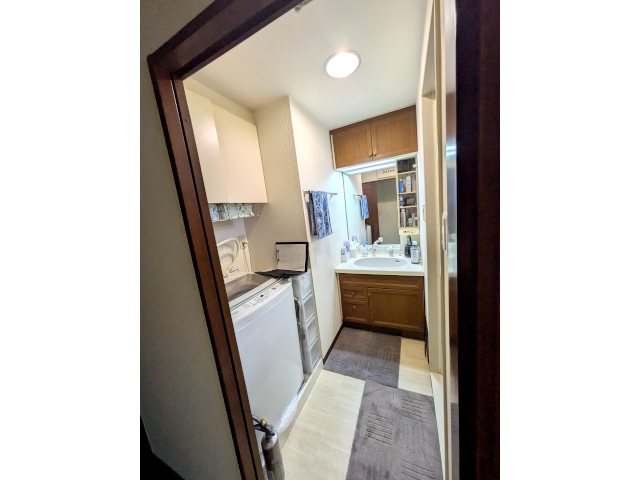 洗面化粧台 Befores