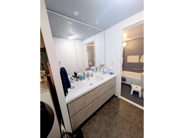 洗面化粧台 BeforeS