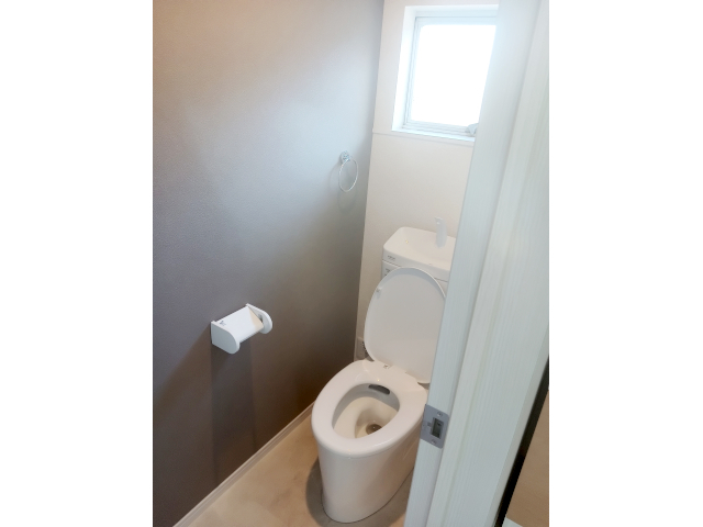 IMG_20250731_151247s