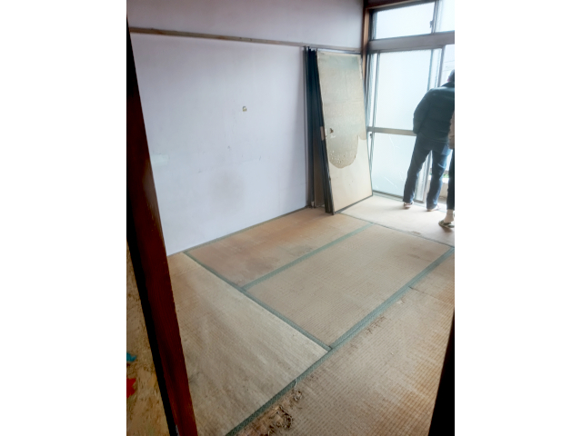 IMG_20250402_104719s