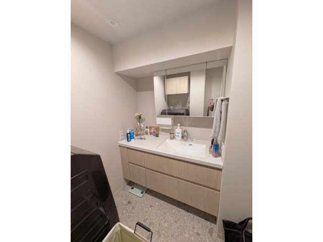 洗面化粧台 Befores