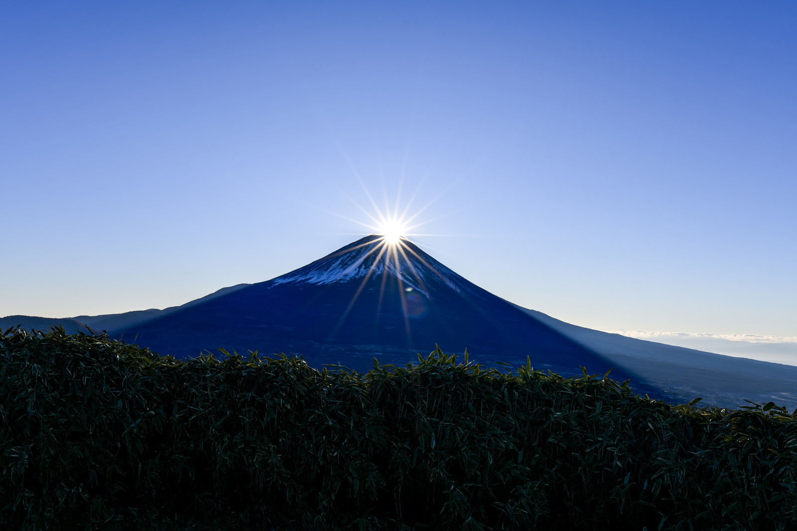 RSFUJI413004_TP_V