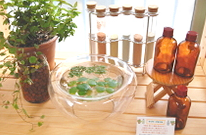 緑豊かで植物にあたっている院内空間