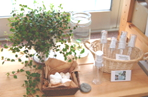 植物と一緒にアロマ関連の品が飾られている院内