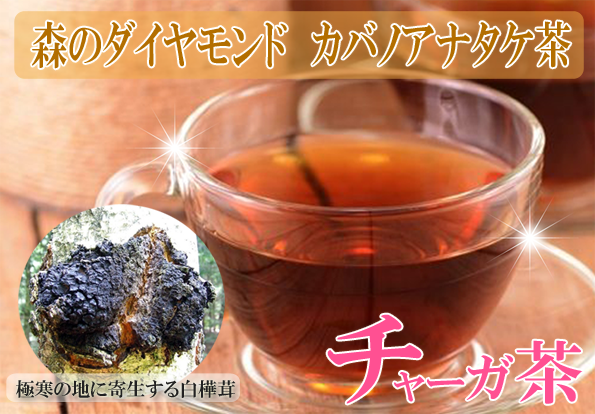 カバノアナタケ茶(かばのあなたけ茶)チャーガ茶100%