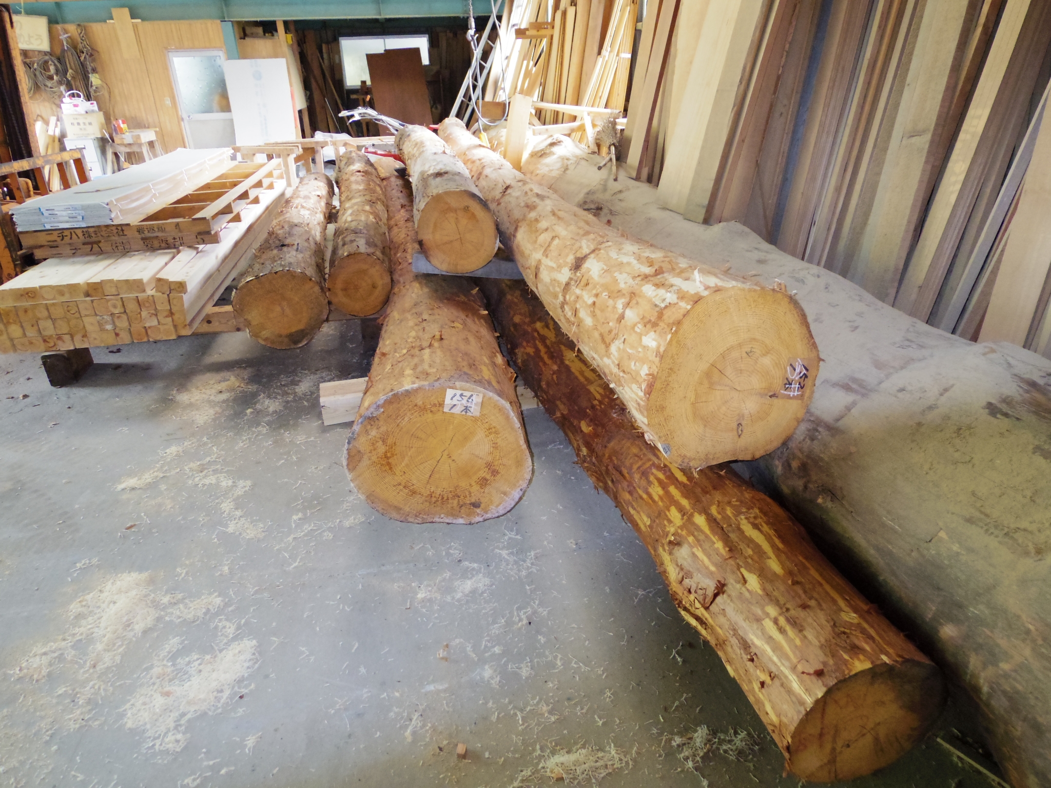 製材_丸太②