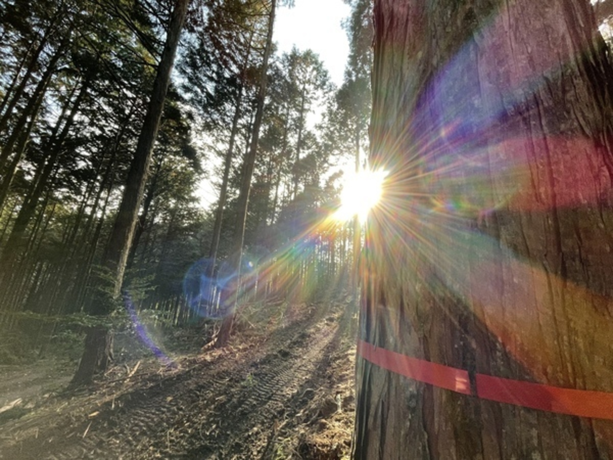 tempImagejaRNwq_コピー_コピー