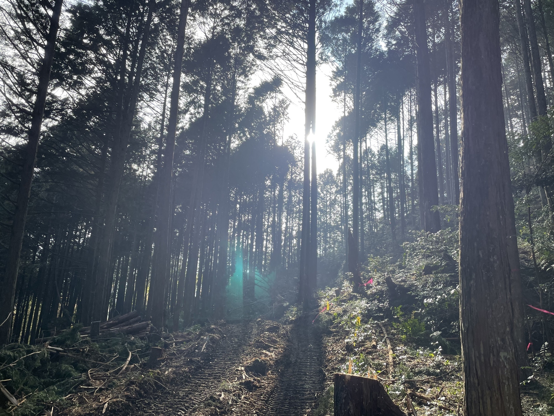 tempImage1IJpjV_コピー