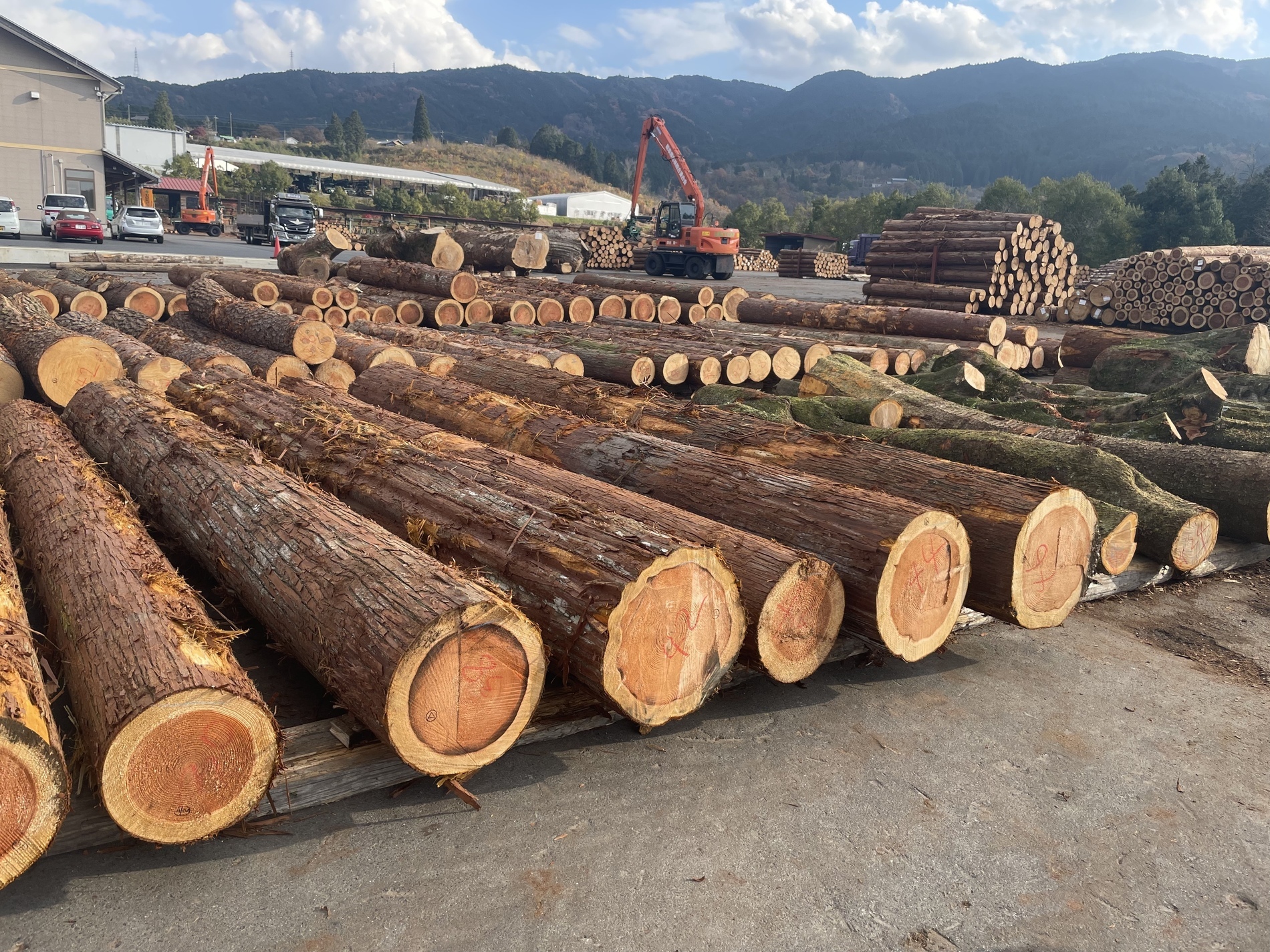 tempImageQh3Cz8_コピー