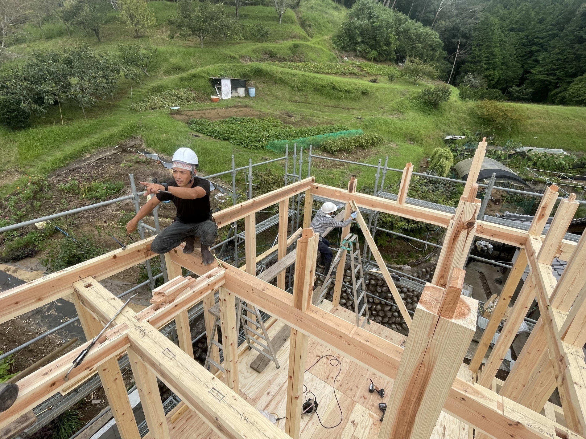 tempImageypiIWo_コピー