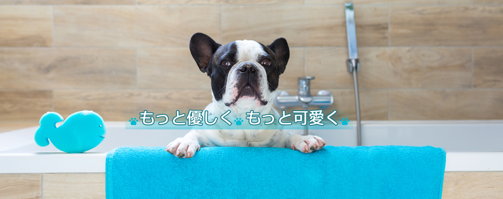 もっと優しくもっと可愛く