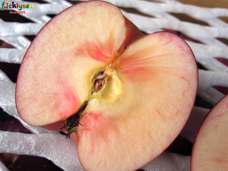 レッドゴールド