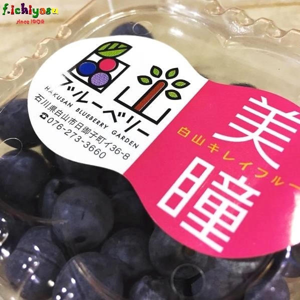 ブルーベリー