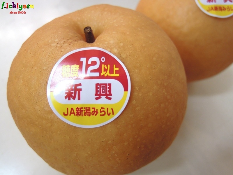 新興