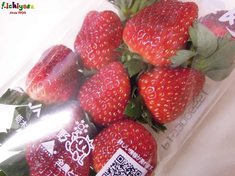 DSCN1768