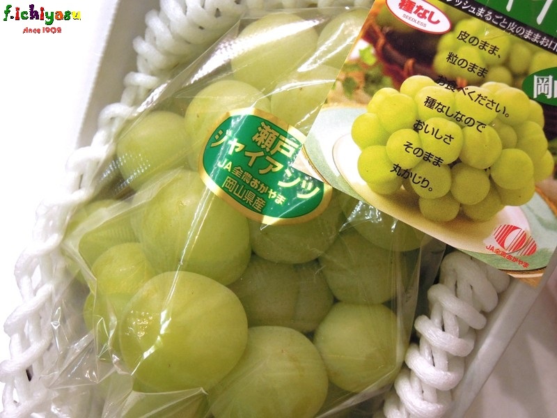 瀬戸ジャイアンツ