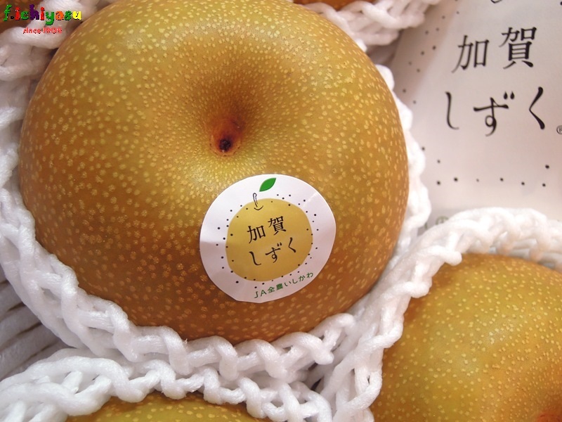 加賀しずく