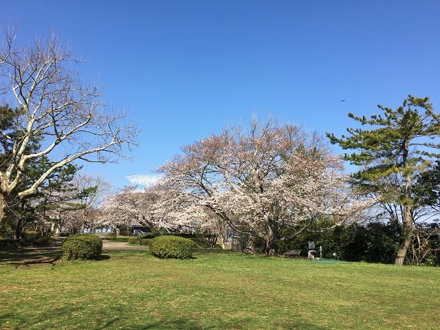 横浜 ノーブル令和2