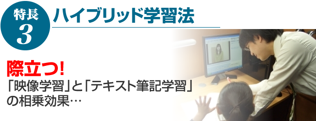 ハイブリッド学習法