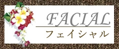 メグリール_フェイシャル