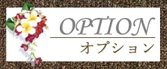 メグリール_オプションコース