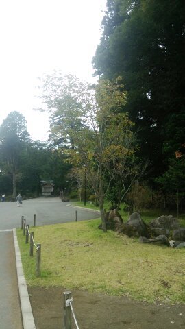 20181206 666