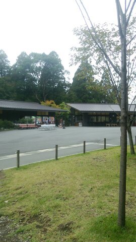 20181206 764
