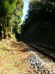 1544846311240