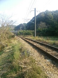 1545020229380