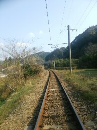 1545020238230
