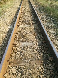 1545020242365