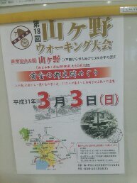 1545204484068
